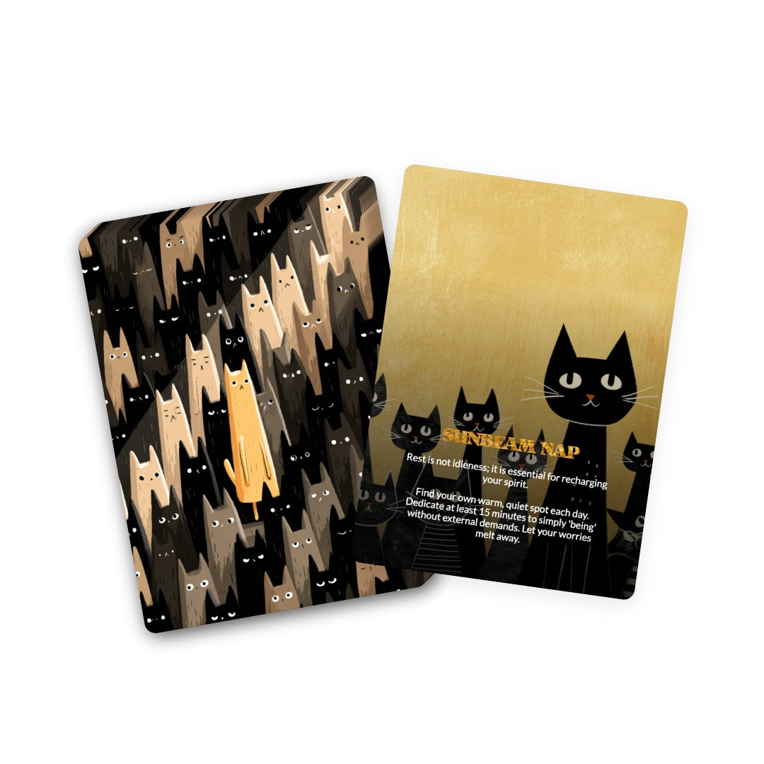 Cat Philosophy for Everyday Humans - 78 Oracle Cards