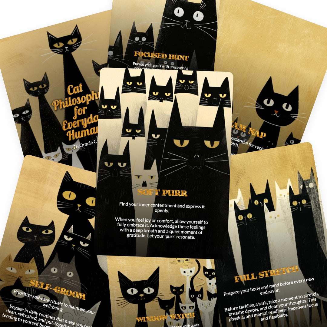 Cat Philosophy for Everyday Humans - 78 Oracle Cards