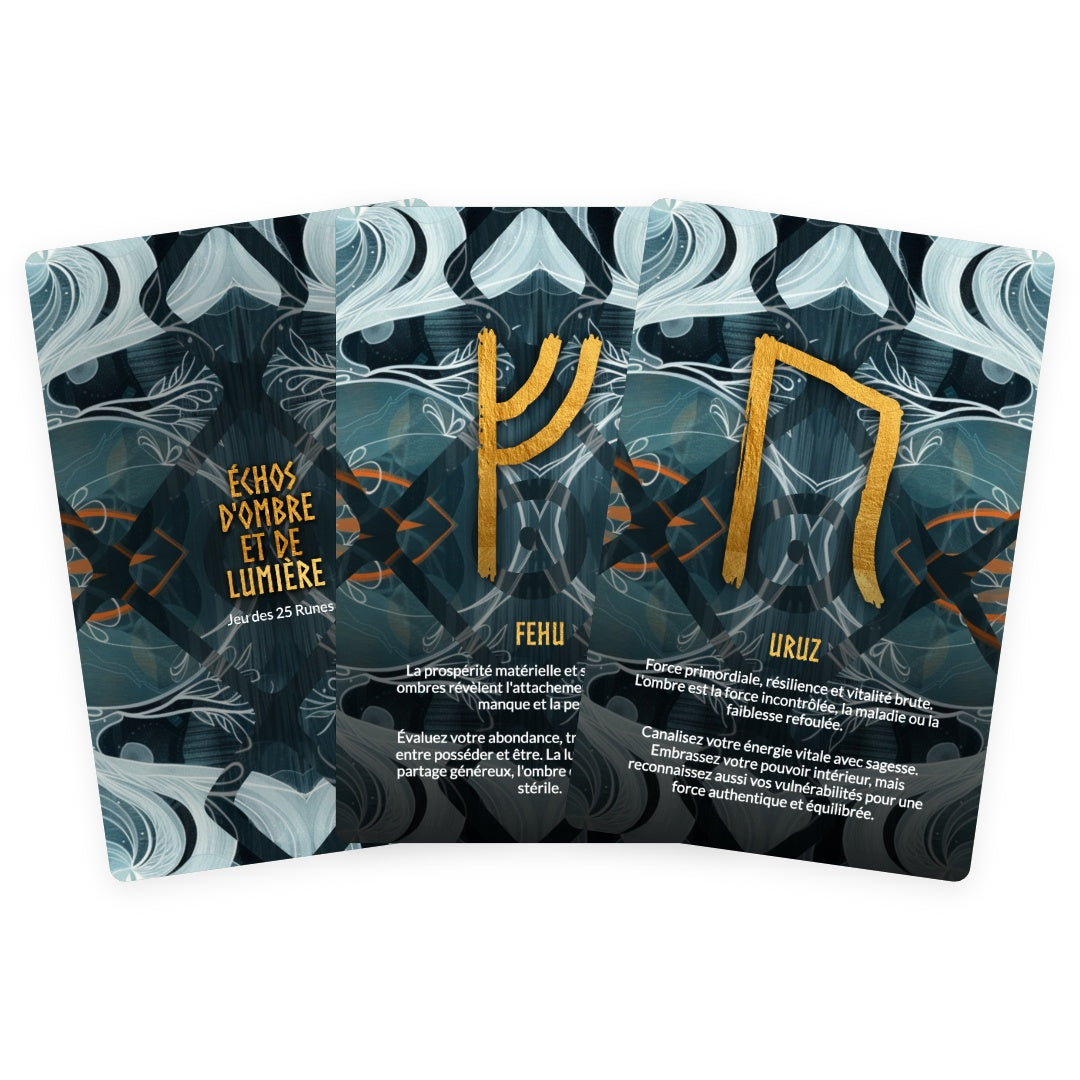 Échos d'Ombre et de Lumière