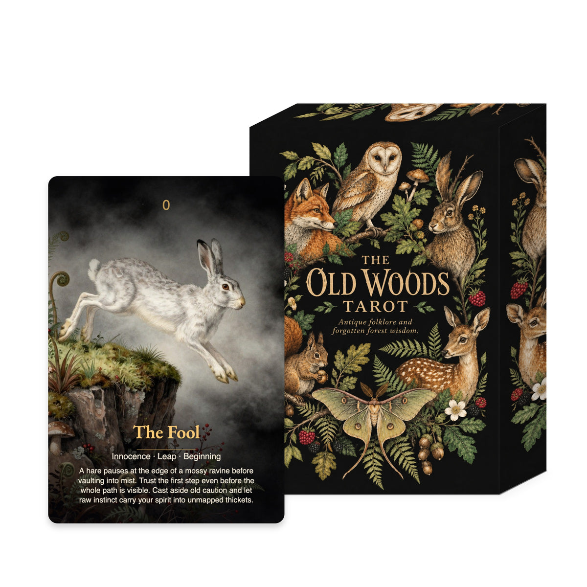 The Old Woods Tarot — arrangement 1