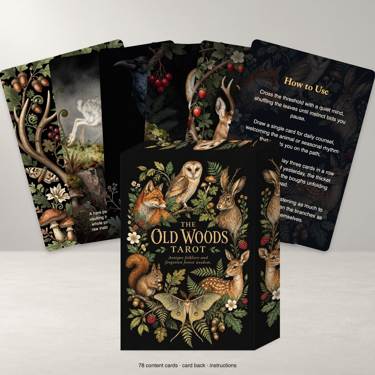 The Old Woods Tarot — arrangement 4