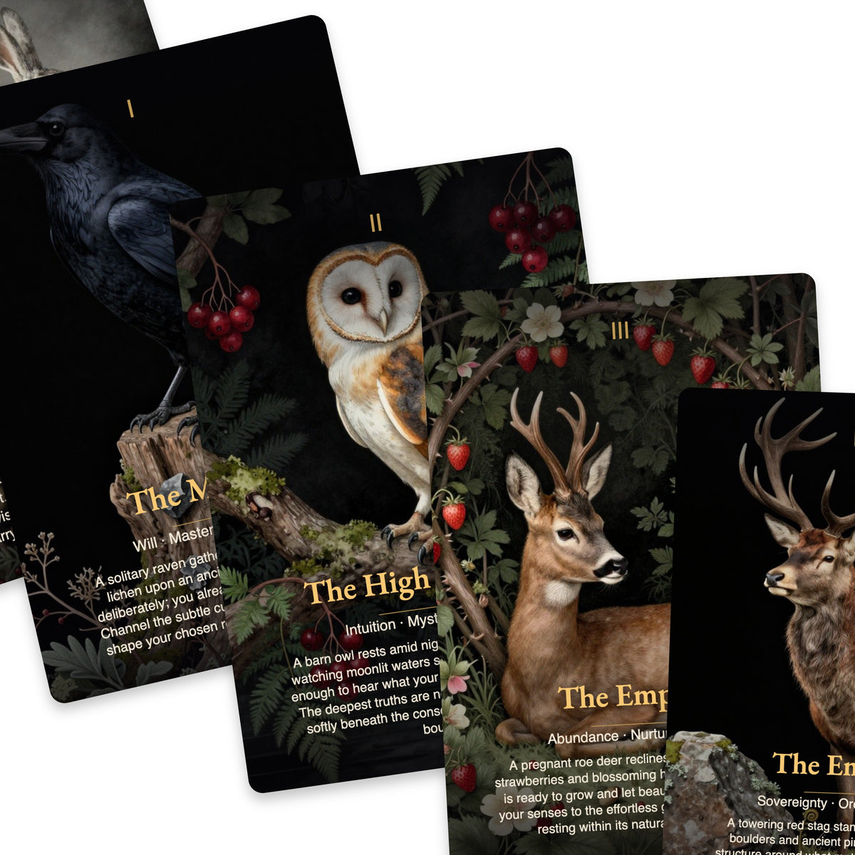The Old Woods Tarot — arrangement 8