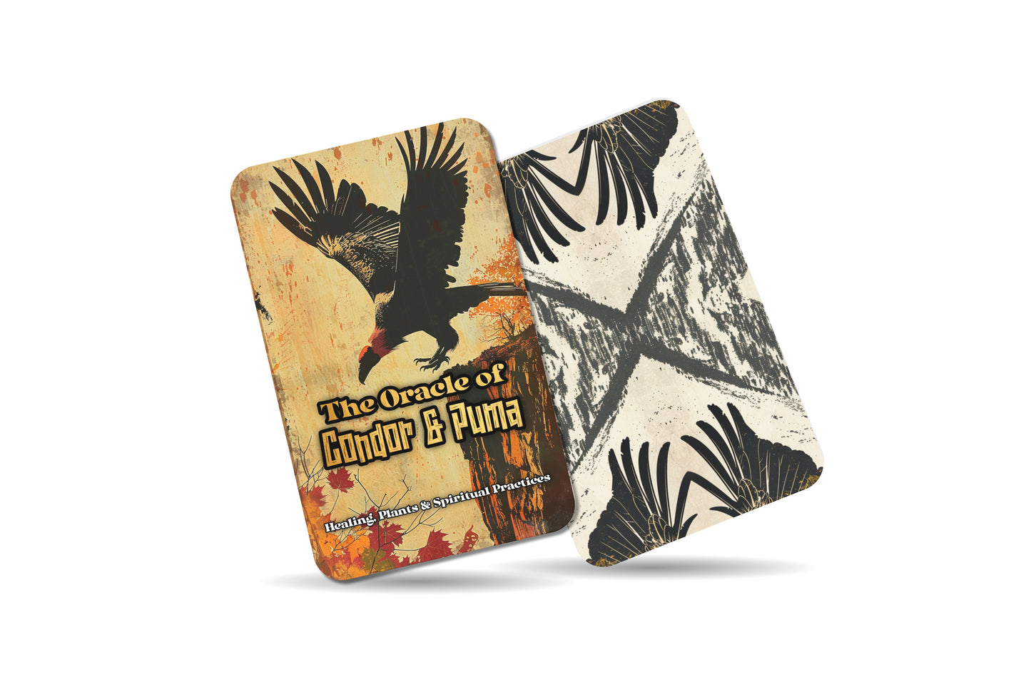 The Oracle of Condor & Puma – A Dual Spirit Oracle Deck – 22 Oracle Cards – Sky & Earth Guardians of the Andes