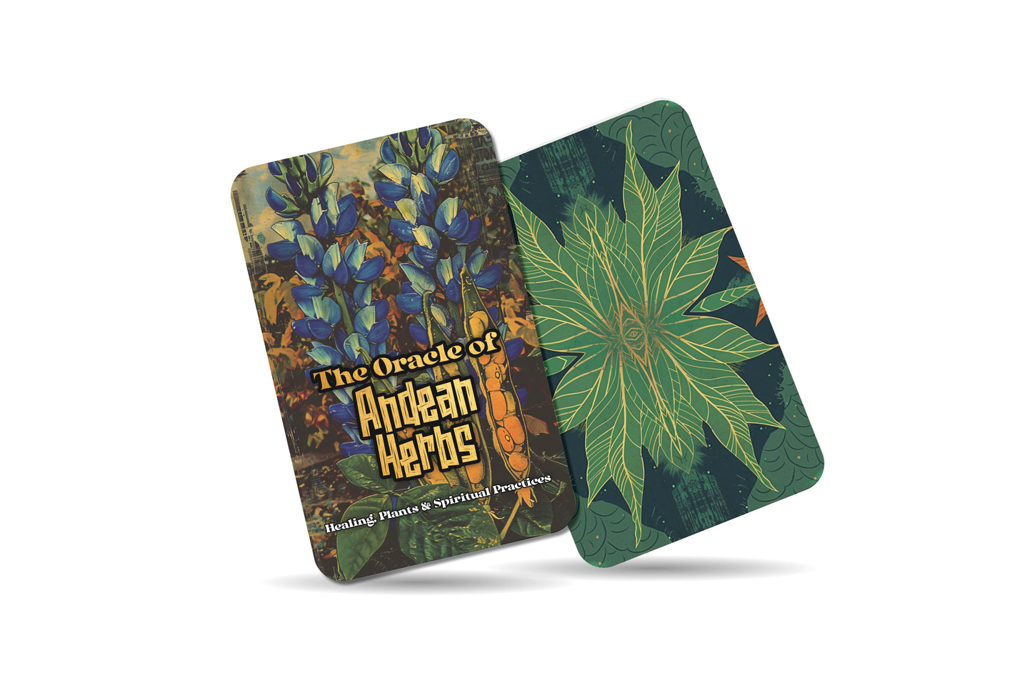 The Oracle of Andean Herbs – A Mountain Medicine Oracle Deck – 22 Oracle Cards – Ancient Remedies of the Highlands