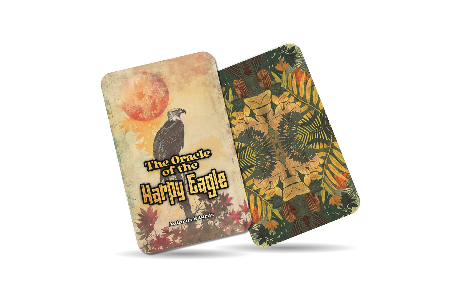 The Oracle of the Harpy Eagle – A Sky Ruler Oracle Deck – 22 Oracle Cards – Hunter of Vision & Majesty