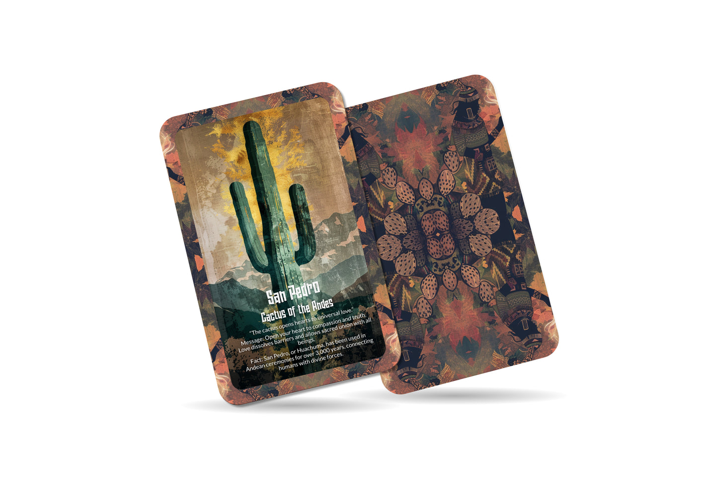 The Oracle of San Pedro – A Healing Cactus Oracle Deck – 22 Oracle Cards – Heart Awakening & Spiritual Vision