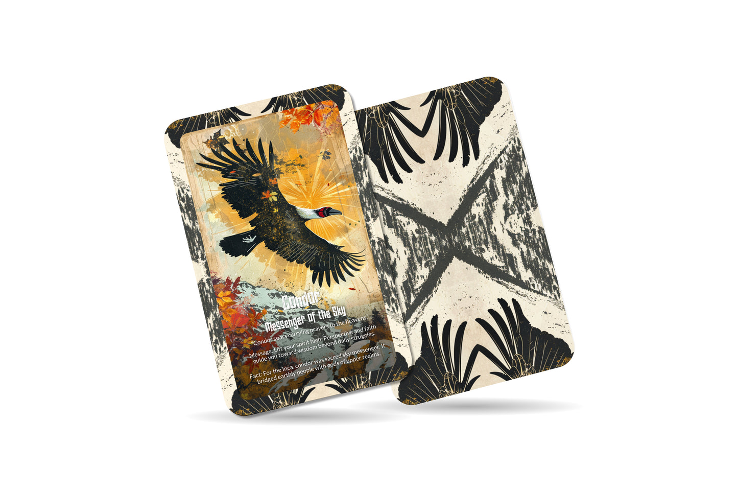 The Oracle of Condor & Puma – A Dual Spirit Oracle Deck – 22 Oracle Cards – Sky & Earth Guardians of the Andes