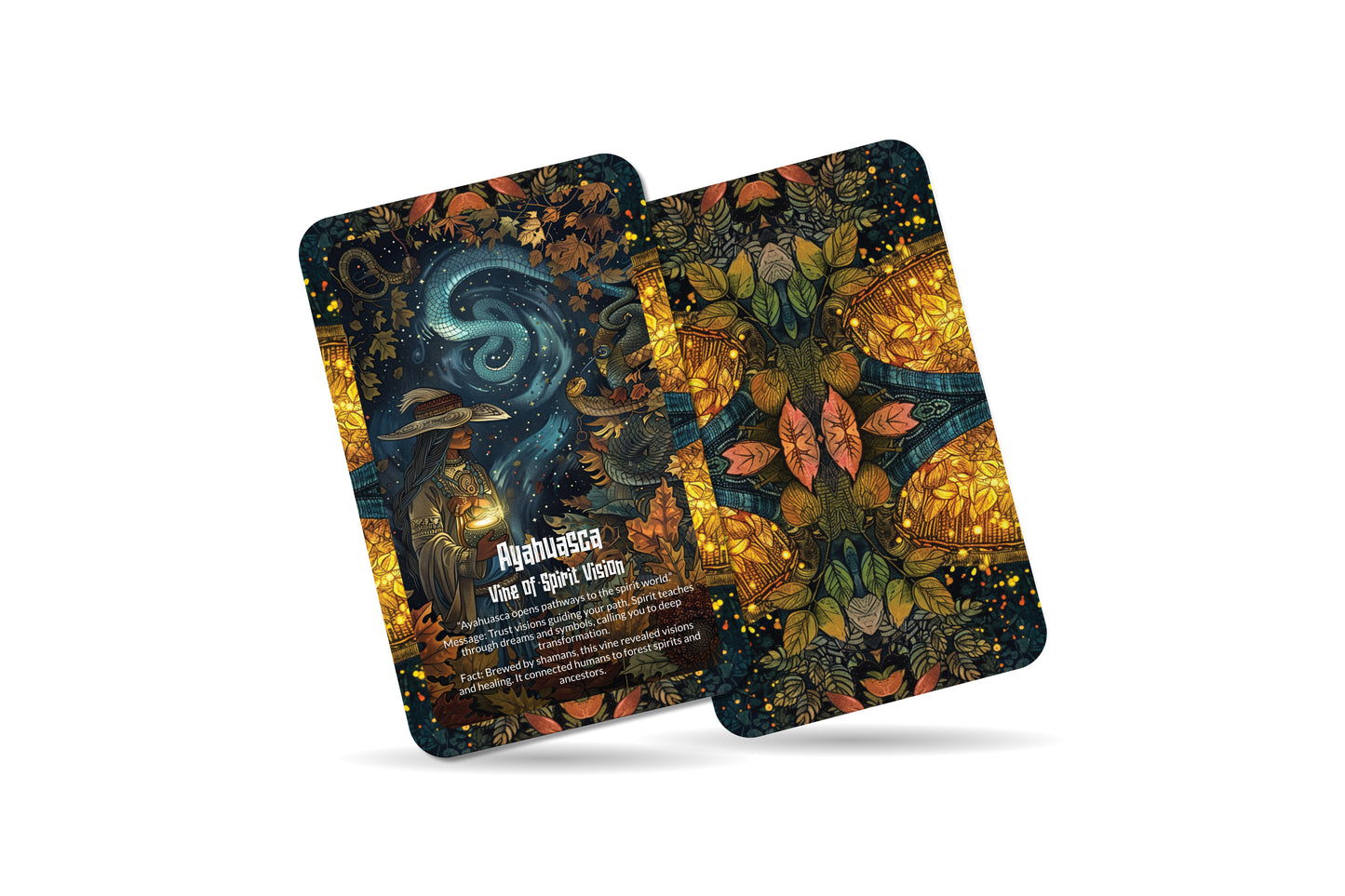 The Oracle of Amazonian Herbs – A Healing Spirit Oracle Deck – 22 Oracle Cards – Green Wisdom of the Jungle