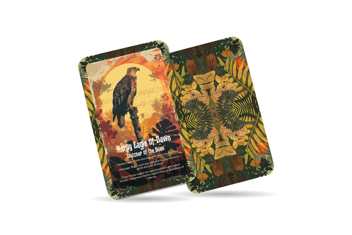 The Oracle of the Harpy Eagle – A Sky Ruler Oracle Deck – 22 Oracle Cards – Hunter of Vision & Majesty