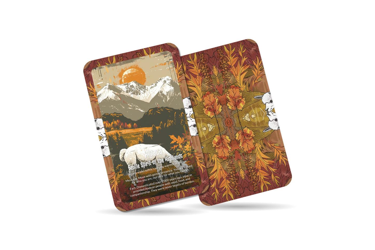 The Oracle of the Alpaca – A Gentle Spirit Oracle Deck – 22 Oracle Cards – Guardian of Andean Harmony