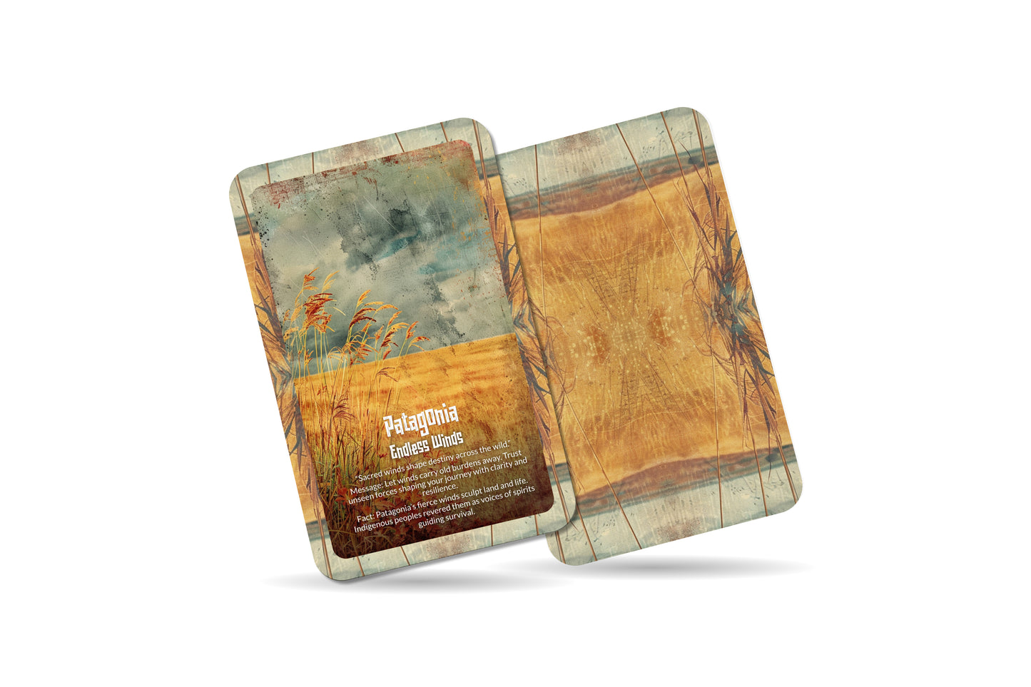 The Oracle of Patagonia – A Wilderness Oracle Deck – 22 Oracle Cards – Lands of Ice, Wind & Fire