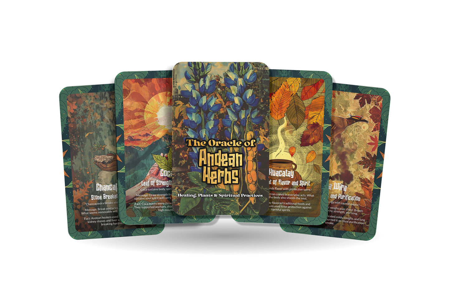 The Oracle of Andean Herbs – A Mountain Medicine Oracle Deck – 22 Oracle Cards – Ancient Remedies of the Highlands