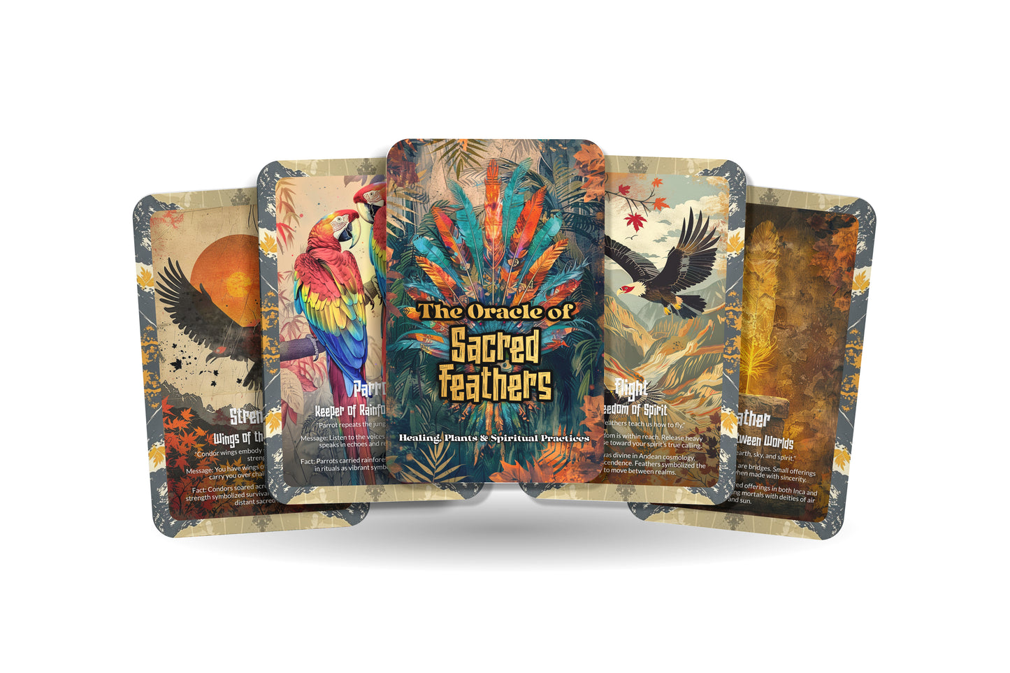 The Oracle of Sacred Feathers – A Spirit Flight Oracle Deck – 22 Oracle Cards – Messages of Winged Allies