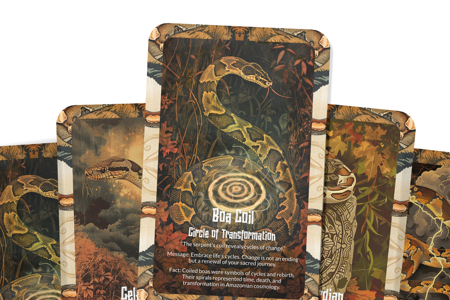 The Oracle of the Boa Serpent – A Primal Power Oracle Deck – 22 Oracle Cards – Keeper of Ancient Mysteries