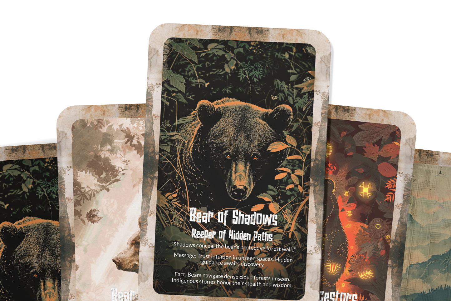 The Oracle of the Andean Bear – A Mountain Protector Oracle Deck – 22 Oracle Cards – Guardian of Sacred Highlands