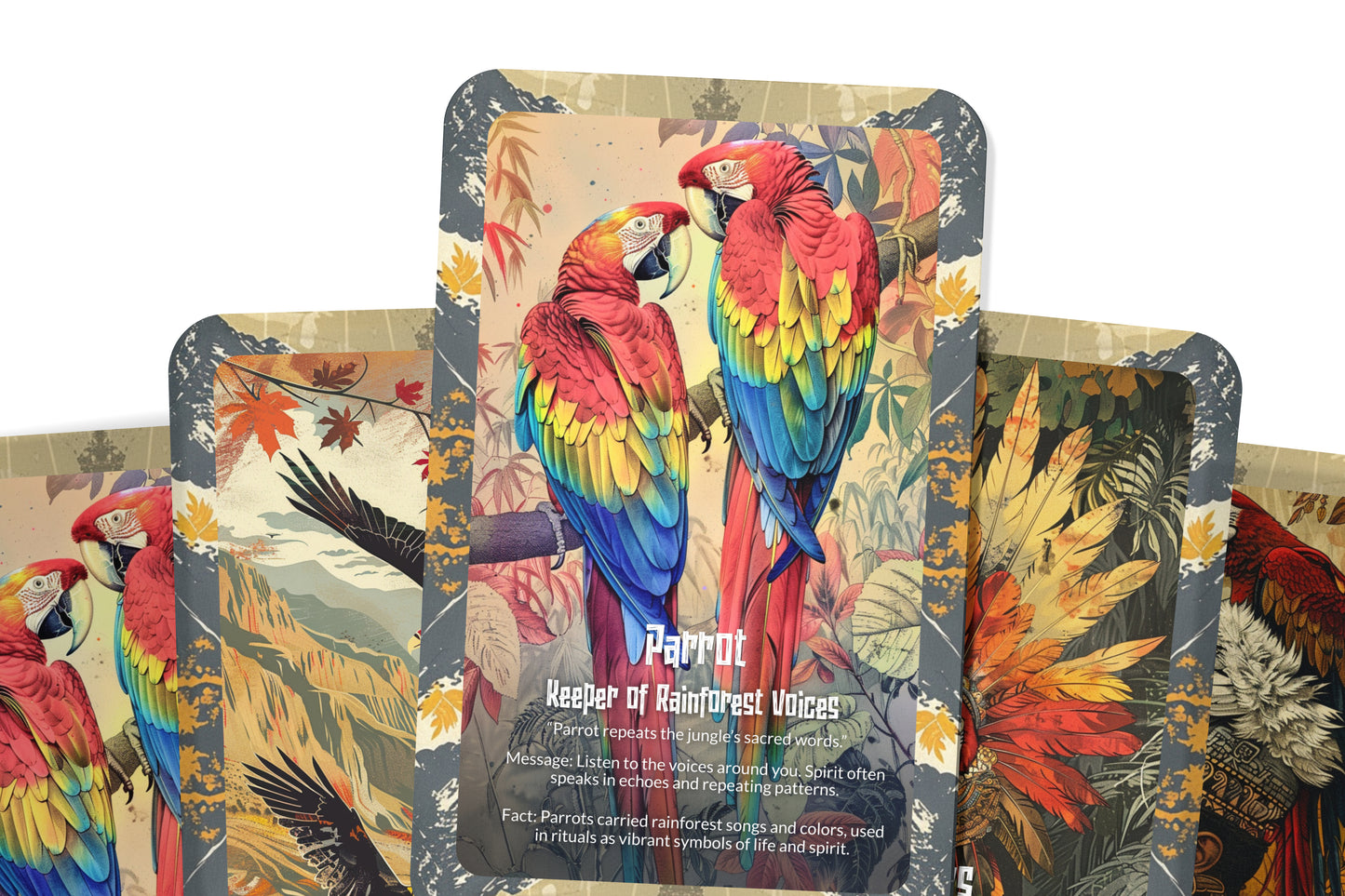 The Oracle of Sacred Feathers – A Spirit Flight Oracle Deck – 22 Oracle Cards – Messages of Winged Allies