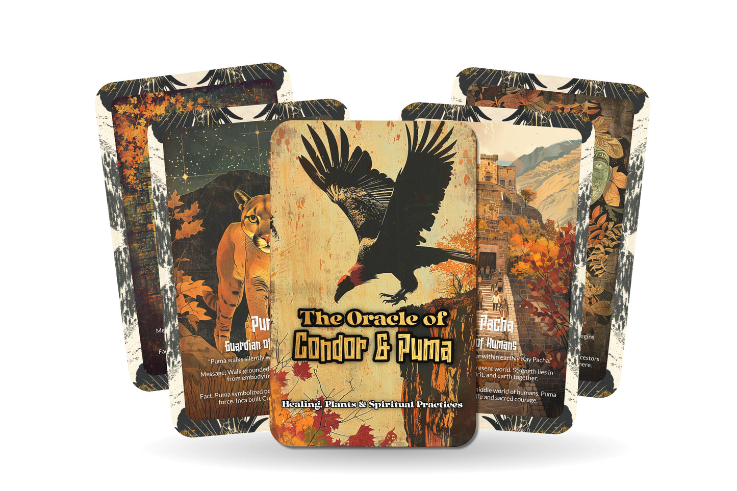 The Oracle of Condor & Puma – A Dual Spirit Oracle Deck – 22 Oracle Cards – Sky & Earth Guardians of the Andes