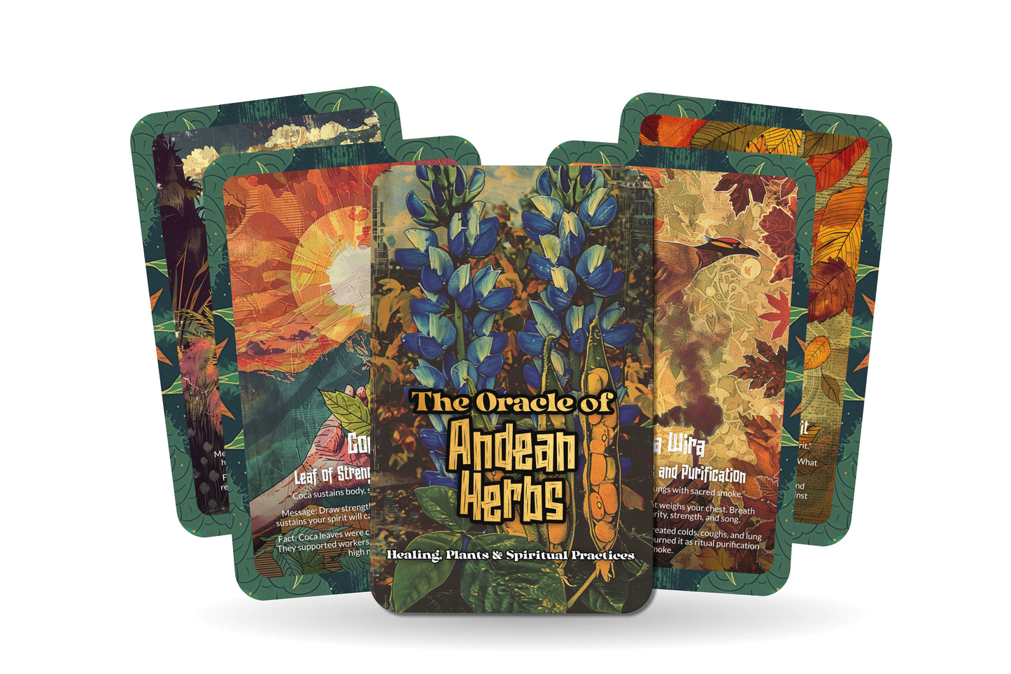 The Oracle of Andean Herbs – A Mountain Medicine Oracle Deck – 22 Oracle Cards – Ancient Remedies of the Highlands