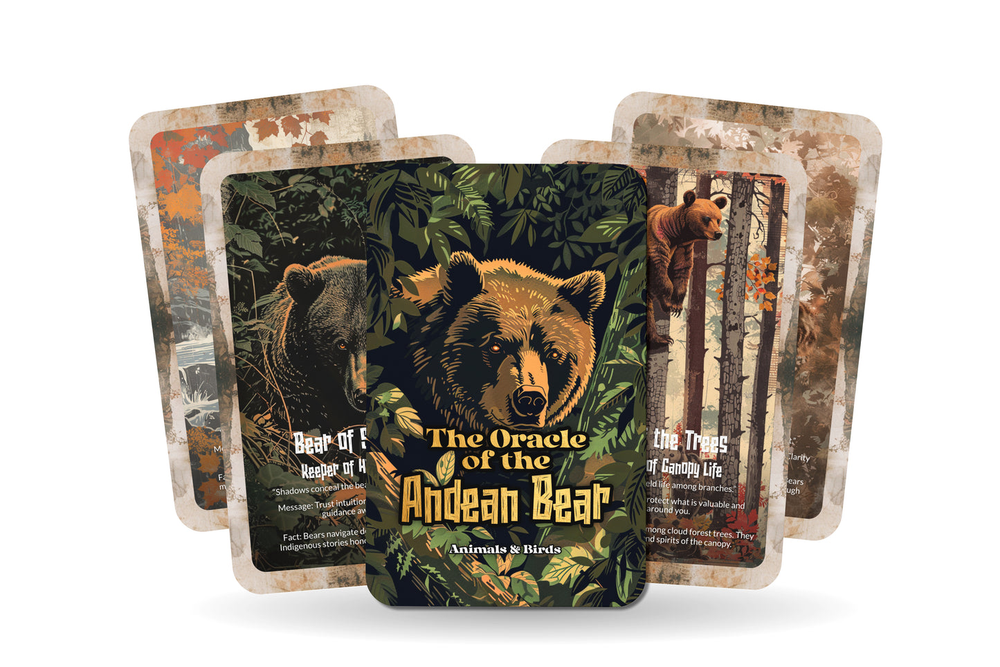 The Oracle of the Andean Bear – A Mountain Protector Oracle Deck – 22 Oracle Cards – Guardian of Sacred Highlands
