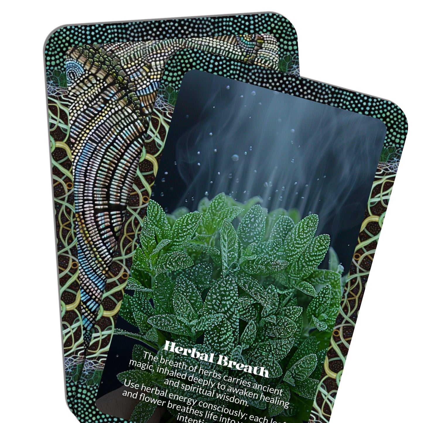 Soil & Spell – A Botanical Energy Work Oracle Deck – 22 Oracle Cards – Grow Magick from the Ground Up