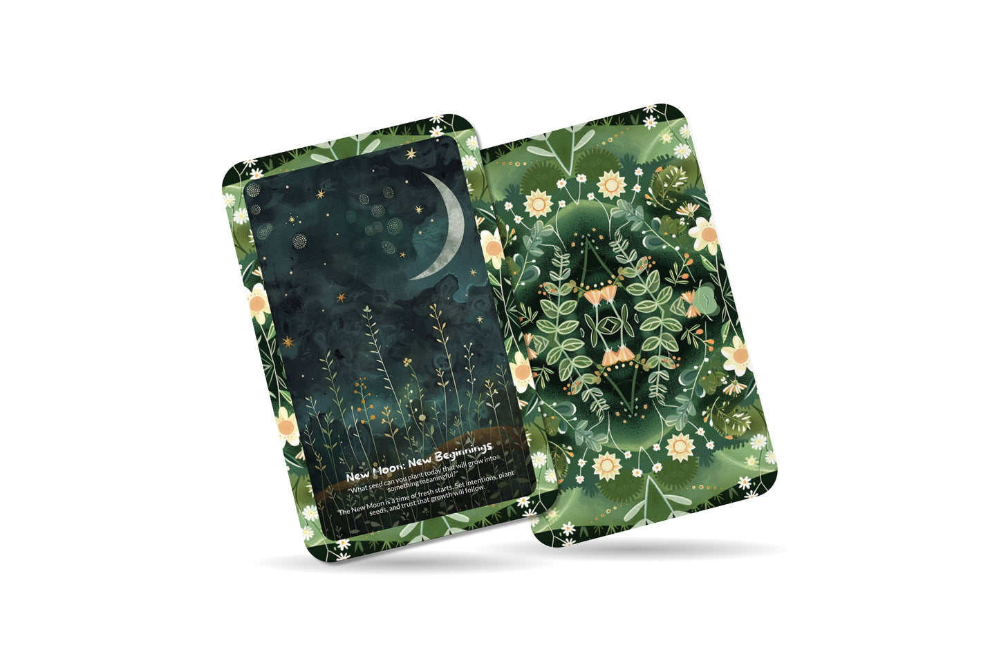 Cycles & Rhythms Insight Cards – Flow With Life’s Seasons – Align With Natural Energy Patterns 22-Card Deck